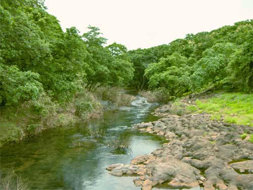 Maharashtra Nature Park